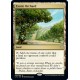 Exotic Orchard C19 NM