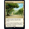 Exotic Orchard C19 NM