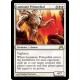 Luminate Primordial GTC NM