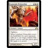 Luminate Primordial GTC NM