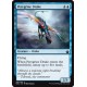 Peregrine Drake BBD NM