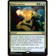 Plasm Capture DDO SP