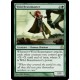 Wild Beastmaster RTR NM