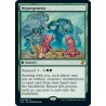 Hypergenesis TSR NM