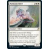 Pulmonic Sliver TSR NM