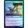 Consecrated Sphinx FOIL SLD NM