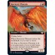 Retriever Phoenix (Extended) STX NM