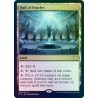 Hall of Oracles FOIL STX NM