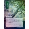 Adventurous Impulse (Alternate) JAPANESE FOIL STA NM