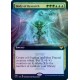 Body of Research (Extended) FOIL STX NM