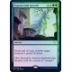 Exponential Growth FOIL STX NM