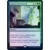 Exponential Growth FOIL STX NM