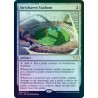 Strixhaven Stadium FOIL STX NM