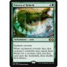 Pattern of Rebirth UMA NM