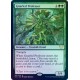 Gnarled Professor FOIL STX NM